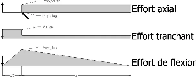 Figure 3-3: Effort dans la poutre selon la conception par capacité (valable pour connexion poutre- poutre-diagonale rotulée) 