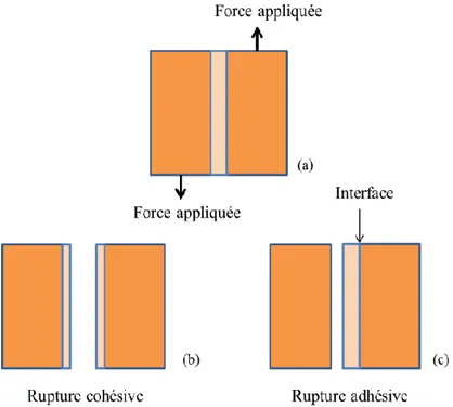 Figure 1-4 : Nature des ruptures d’un assemblage composite. (a) Assemblage, (b) rupture  cohésive et (c) rupture adhésive