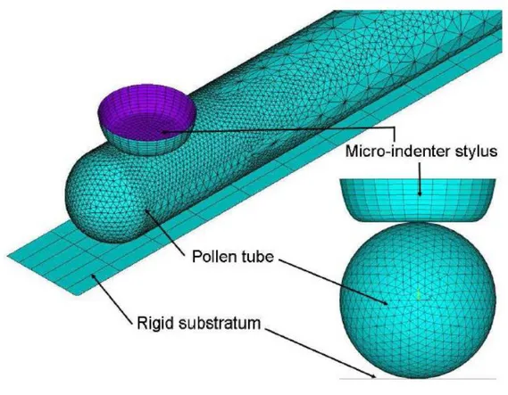 Figure 1.8: Modèle EF de J-F Bolduc, Source J-F Bolduc 2006 [35] 