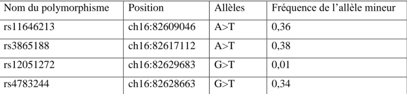 Tableau 8. Caractéristiques des polymorphismes du gène CDH13 sélectionnés. 