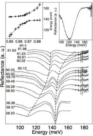 Figure 1.6: Experimental data from Ref. [ 14 ]. Reﬂectance for diﬀerent angles of incidence for the TM polarization