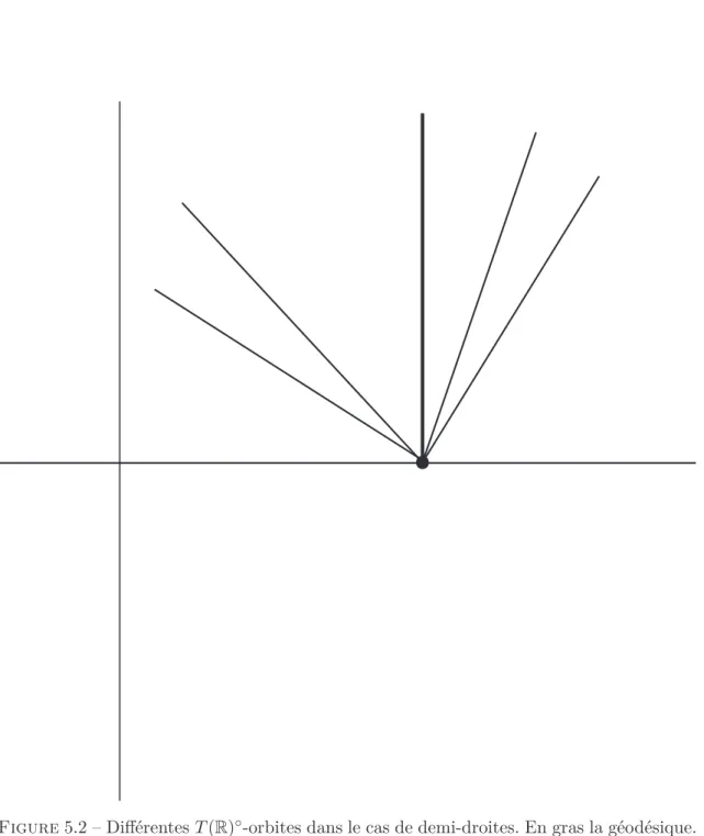 Figure 5.2 – Diﬀérentes T (R) ◦ -orbites dans le cas de demi-droites. En gras la géodésique.