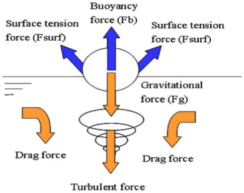 Figure 2. 4 : Équilibre des forces gouvernant le sens du mouvement des particules flottantes  (Khazam &amp; Kresta, 2008)