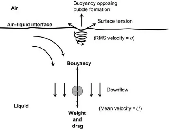 Figure 2. 14 : Mécanisme d’entraînement de l’air et tirage de l’air vers le fond de la cuve  (Bhattacharya, Hebert, &amp; Kresta, 2007)