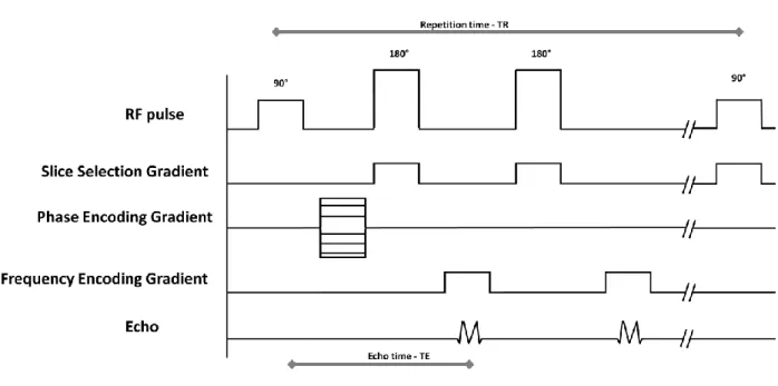 Figure 1.3- Illustration of simplified pulse sequence. Inspired from (Ballinger, 1996)  The  MRI  raw  data  is  stored  in  a  matrix  also  called  “k-space”,  which  represents  the  frequency  distribution of the MRI data