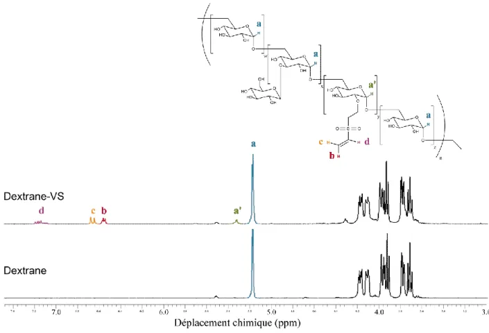 Figure 2-19 : Spectres  1 H-NMR représentatifs de dextrane et de Dextrane-VS. 