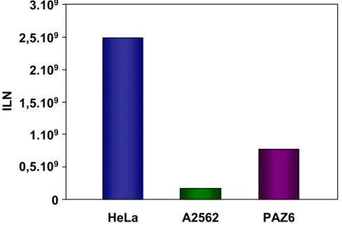 Figure 27. Expression du plasmide pLTR-luc dans des préadipocytes.