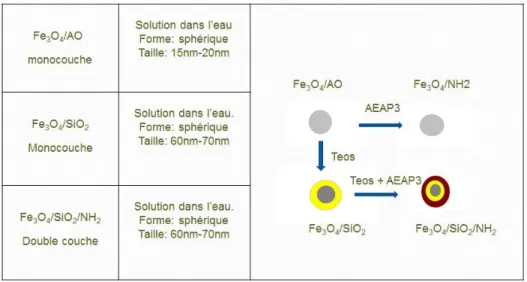 Figure 1.1.1 La méthode de silanisation utilisée 