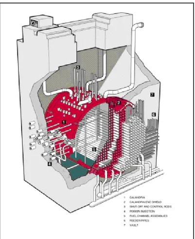 Figure 2.3: Coupe transversale CANDU-6 