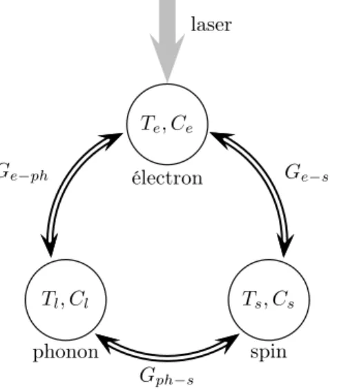 Figure 1.13: Modèle à 3 températures : la relaxation d’un métal ferromagnétique résulte de la distribution d’énergie injectée entre trois réservoirs interagissant entre eux.
