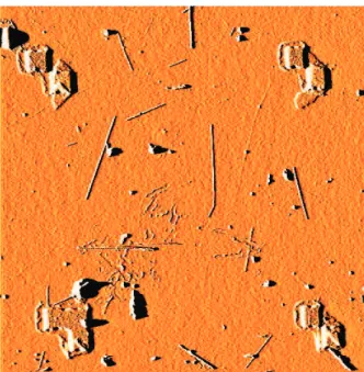 Figure 2.1: The AFM image shows catbon nanotubes on the surface of a silicon wafer. Four alignment marks lie at the corners of the image, which serve as the references to locate a nanotube.