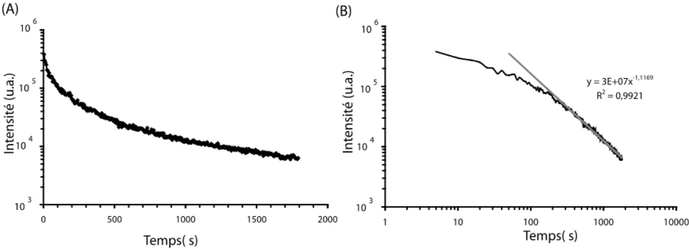 Fig. 3.13: Intensité lumineuse obtenue en fonction du temps pour le composé MgSiO 3 dopé