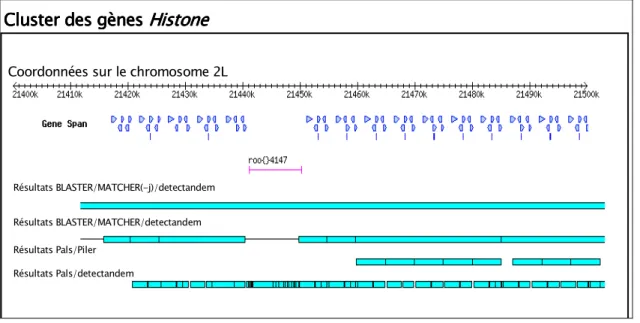 Figure 17. Détection du «cluster» des gènes Histone.  