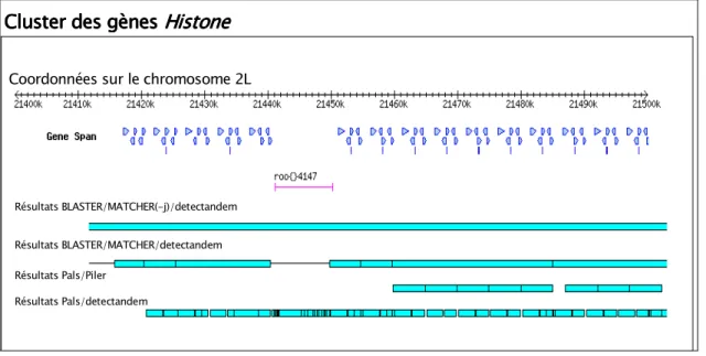 Figure 17. Détection du «cluster» des gènes Histone.  