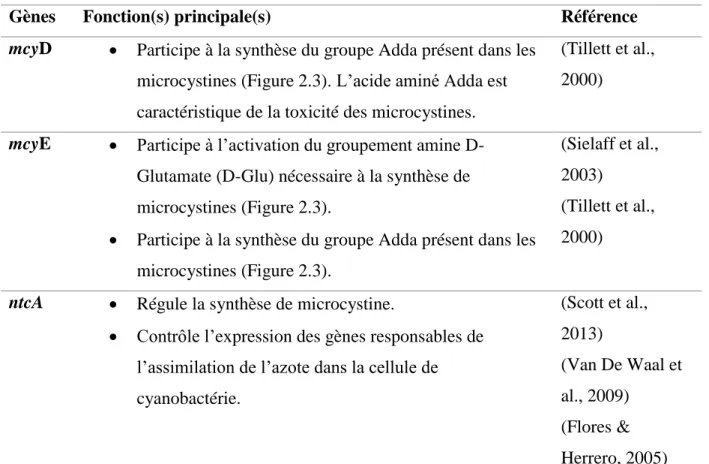 Tableau  2.3 :  Fonctions  des  gènes  mcyD,  mcyE  et  ntcA  liés  au  caractère  toxique  des  cyanotoxines