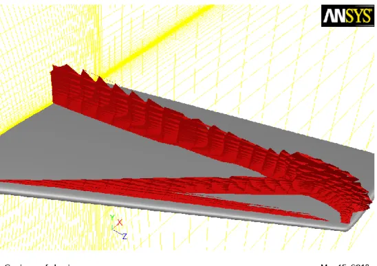 Figure 2 – Shock volume for the ONERA M6 wing in transonic viscous flow 