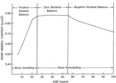 Figure 1.8 : Evolution de contenu minéral osseux en fonction de l’âge [30]  