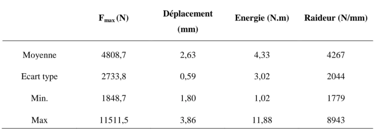 Tableau 3-6 : Statistiques générales concernant l'ensemble des vertèbres testées  F max  (N)  Déplacement  (mm)  Energie (N.m)  Raideur (N/mm)  Moyenne  4808,7  2,63  4,33  4267  Ecart type  2733,8  0,59  3,02  2044  Min