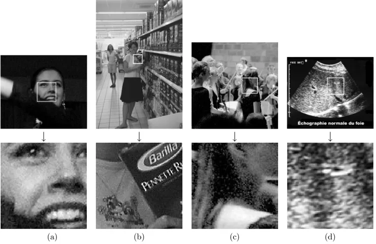 Fig. 1 – Bruit naturel dans des images num´eriques. (a) bruit de sensibilit´e pour un appareil photo