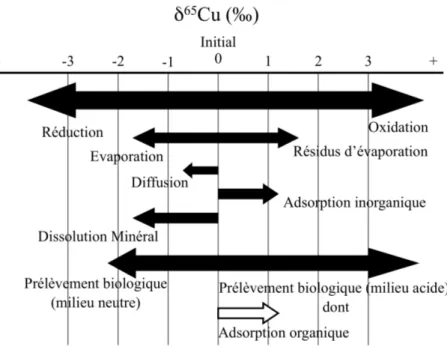 Figure 10:  Principaux processus qui provoquent un fractionnement isotopique du cuivre