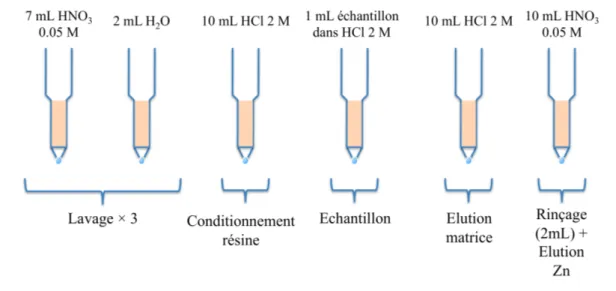 Figure 13:  Protocole d'élution du zinc selon le protocole adapté de Maréchal et al. 13