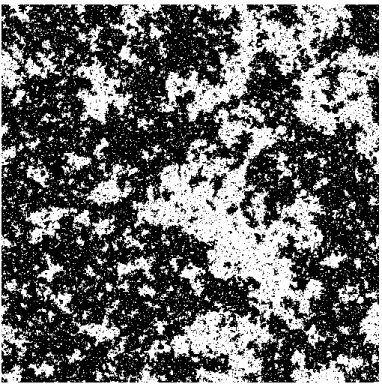 Fig. 2.1 – Configuration typique du mod`ele d’Ising au point critique : la longueur de corr´elation est tr`es grande devant la taille de l’´echantillon et les clusters sont auto-similaires.