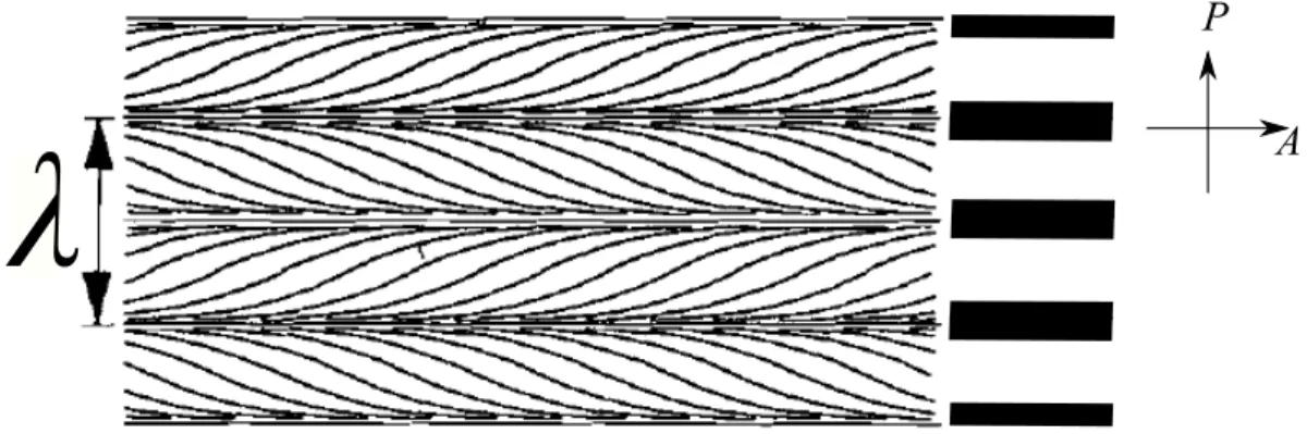 Fig. 3.3: Projection horizontale des d´eformations du directeur (sch´ema). D’apr`es [14]