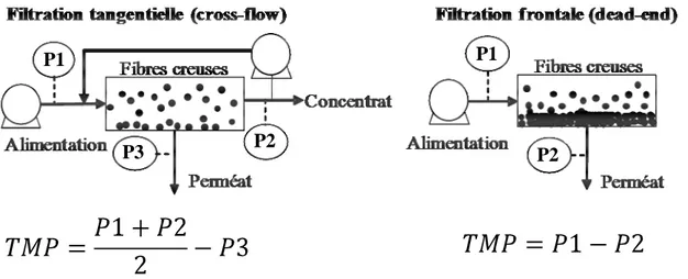 Figure 3: Schéma d'un module membranaire. 