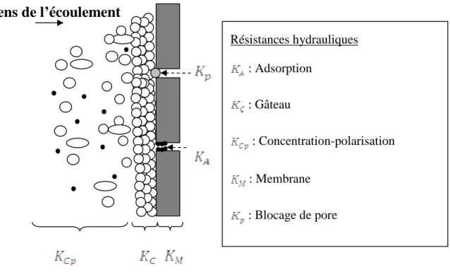 Figure 6: Différentes résistances hydrauliques s'appliquant lors du colmatage d'une membrane 