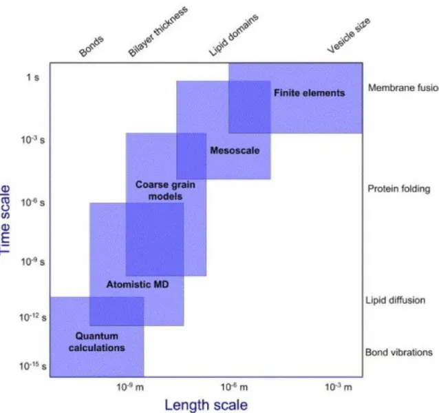 Figure 5.1: Simulation methods and the size of the phenome they can represent and the time of simulation necessary.