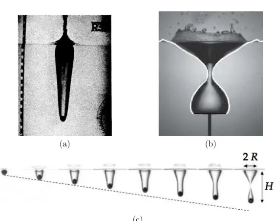 Fig. 2.5 – (a) Cavité formée dans l’eau par une bille d’acier de 38 mm de diamètre, lancée