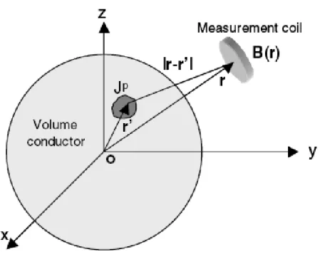 Figure 18: MEG sensor measure the magneti eld aused by loal urrent