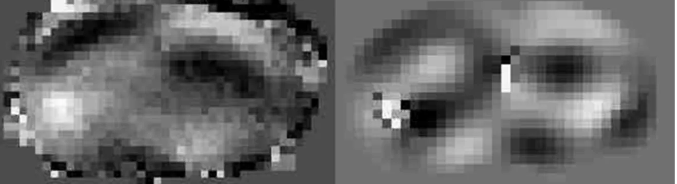 Figure 2.8 : Exemple de données brutes obtenues expérimentalement dans le cerveau de souris à un temps donné  d’une excitation à 1000Hz (à gauche)