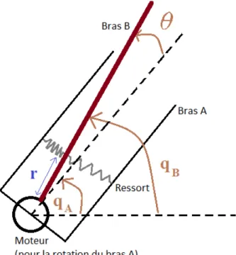 Figure 3.1 Schéma de l’actionneur AwAS utilisé