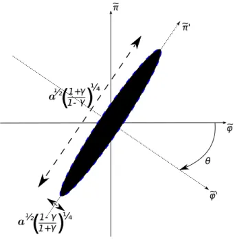 Fig. 3.2 – Représentation de la matrice densité dans l’espace des phases (où ˜ ϕ ≡ √ ǫϕ et ˜