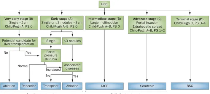 Figure 2.7 Classification BCLC pour l’état des CHC. BCLC définit 5 niveaux de CHC en se basant sur l’avancée de maladie, le score de Child-Pugh, et la performance ECOG