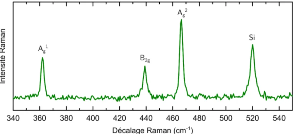 Figure 2.16 Spectre Raman d’un échantillon massif de phosphore noir dans une configuration de rétro-diffusion