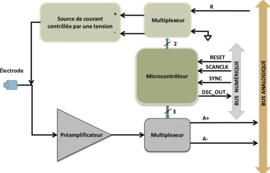Figure 2.3 Représentation schématique d’un circuit d’électrode active (EA).