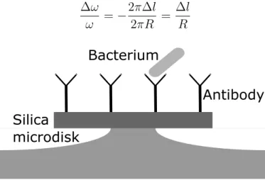 Figure 3.8 Biodetection of a bacterium on a functionalized microdisk