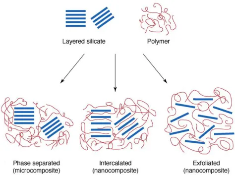 Figure  ‎2-3:  Scheme  of  different  types  of  composite  structures  arising  from  the  mixing  of  layered  silicates  and  polymers [10]