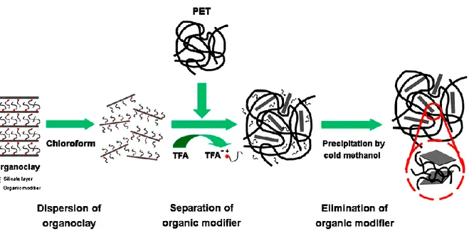 Figure  ‎2-8:  Schematic  representation  of  the  preparation  of  exfoliated  PET  nanocomposites  excluding  organic  modifier (S-Pet-LSNeom) [31]