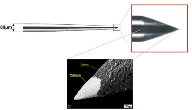 Figure 2.2. Scanning electron microscopy (SEM) images of  Glass insulation and the metal part 