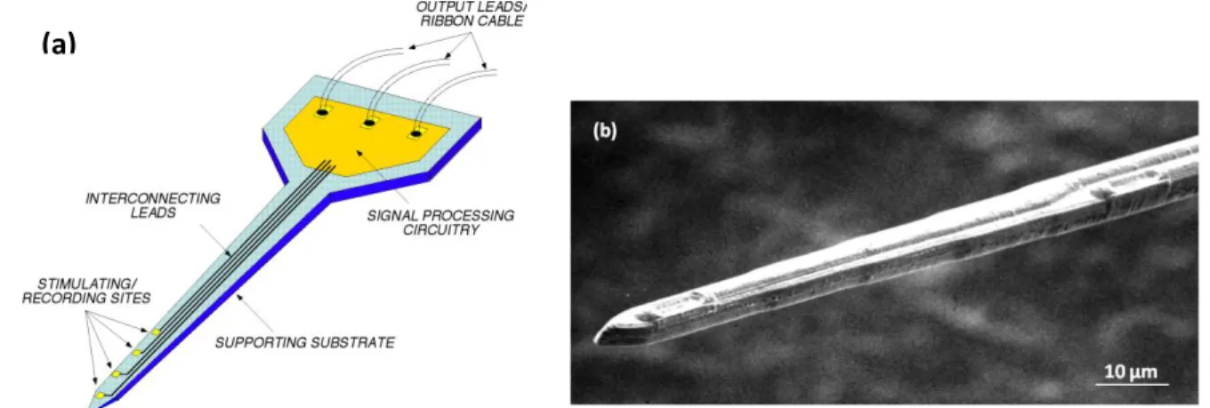 Figure  2.6.  Michigan  MEA:  (a)  Basic  structure  of  a  multisite  microprobe  presenting  the  substrate,  insulation  layers,  and  recording  sites,  (b)  SEM  image  of  the  tip  of  neural  microelectrode