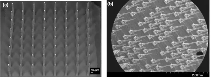 Figure  2.12.  Metal-based  MEAs  using  EDM  technique:  (a)  SEM  image  of  a  parylene-coated  assembly,  consisting  of  Pt-coated  electrode  tips,  (b)  Stainless  steel  electrode  arrays  after  electrochemical polishing