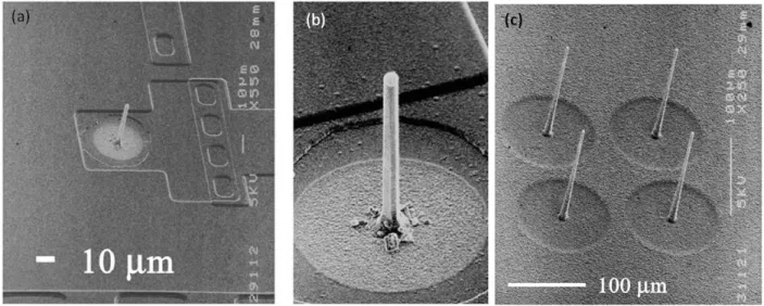 Figure 2.14. The silicon-wire probe on Si (111) with W wiring circuit: (a) SEM image of silicon- silicon-wire probe combined with wring process for on-chip circuits on same a silicon wafer, (b) Silicon  probe in 30 µm in length and 2 µm in diameter at a gr