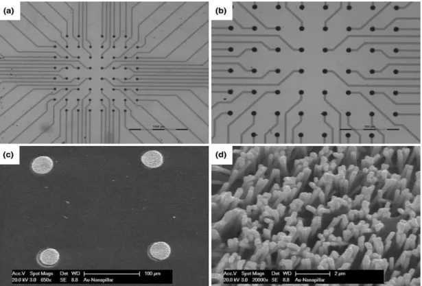 Figure  2.19.  SEM  images  of  planar  microelectrodes  with  gold  nanopillars  onto  the  recording  sites:  (a-c)  Top-view  of  planar  microelectrodes  with  different  magnification