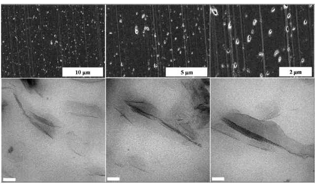 Figure 5.7: Morphology of the PCN containing 1.25% 2C16-Im a) SEM; and b) TEM (All scale bars in  TEM micrographs represent 50 nm) 