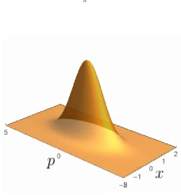 Figure II.7 – Représentations de la fonction de Wigner (II.165) d’un état du vide comprimé |0, ri avec r = 0.5.