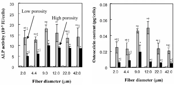 Figure  2.9:  ALP  and  osteocalcin  activity  of  mesenchymal  stem  cells  in  low  porosity  (grey)  vs