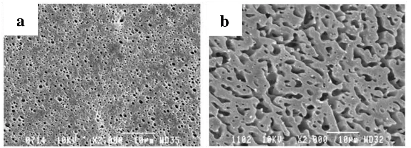 Figure  2.22 : SEM micrographs of PLLA/PS binary blend at a) 80/20 and b) 60/40 v% (adapted  from (Sarazin &amp; Favis, 2003)) 